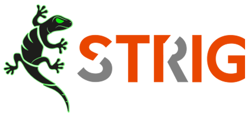 STRIG TECH