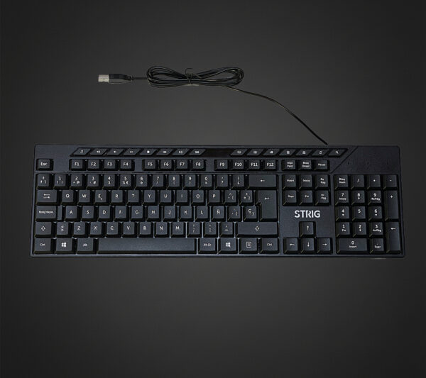 Teclado STRIG K15+ – Anolis Series